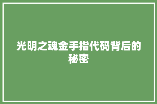 光明之魂金手指代码背后的秘密