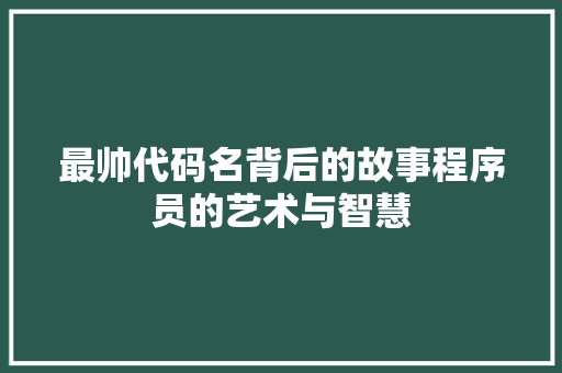 最帅代码名背后的故事程序员的艺术与智慧