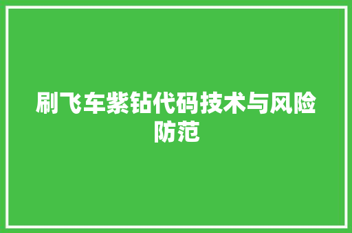 刷飞车紫钻代码技术与风险防范  第1张