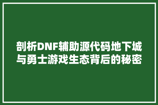 剖析DNF辅助源代码地下城与勇士游戏生态背后的秘密