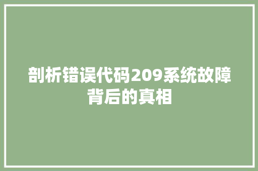 剖析错误代码209系统故障背后的真相