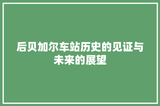 后贝加尔车站历史的见证与未来的展望