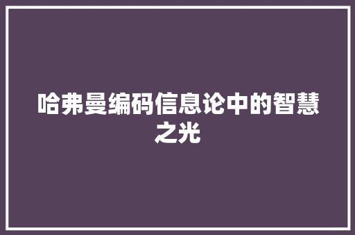 哈弗曼编码信息论中的智慧之光