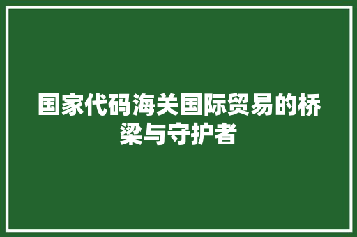国家代码海关国际贸易的桥梁与守护者