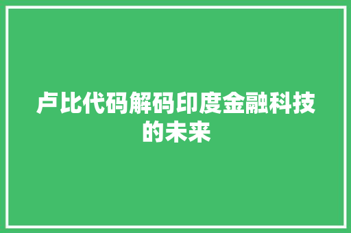 卢比代码解码印度金融科技的未来