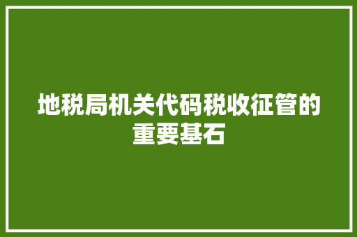 地税局机关代码税收征管的重要基石