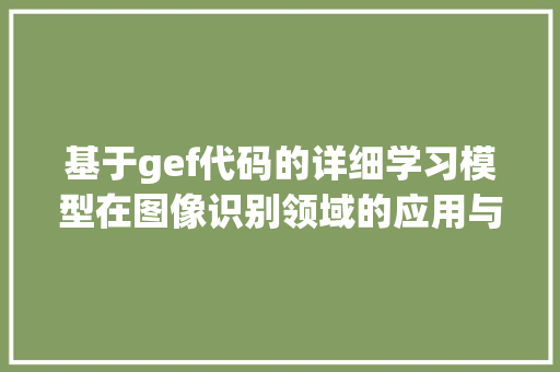 基于gef代码的详细学习模型在图像识别领域的应用与挑战