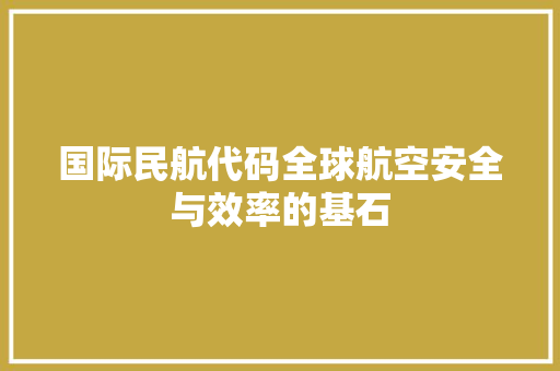 国际民航代码全球航空安全与效率的基石