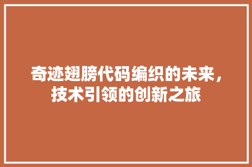 奇迹翅膀代码编织的未来，技术引领的创新之旅