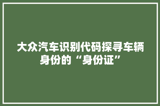大众汽车识别代码探寻车辆身份的“身份证”