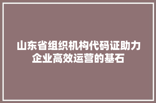 山东省组织机构代码证助力企业高效运营的基石