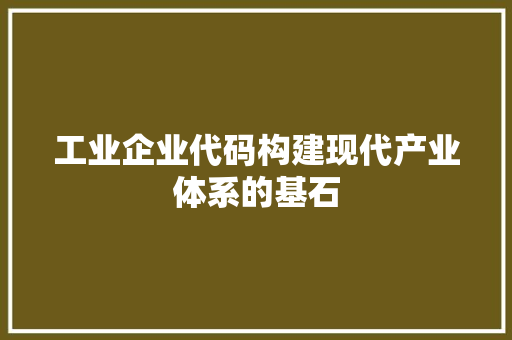 工业企业代码构建现代产业体系的基石