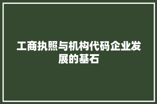 工商执照与机构代码企业发展的基石  第1张