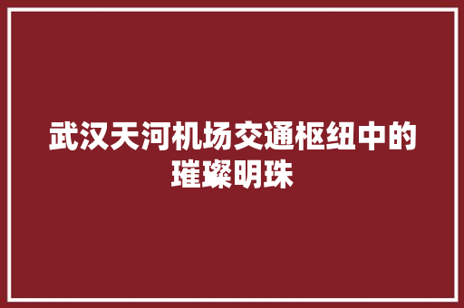 武汉天河机场交通枢纽中的璀璨明珠