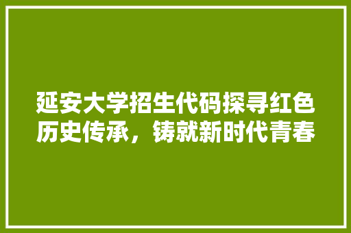 延安大学招生代码探寻红色历史传承，铸就新时代青春梦想