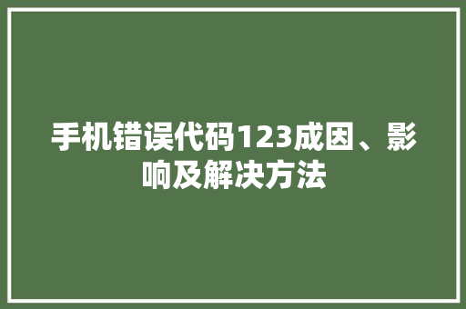 手机错误代码123成因、影响及解决方法