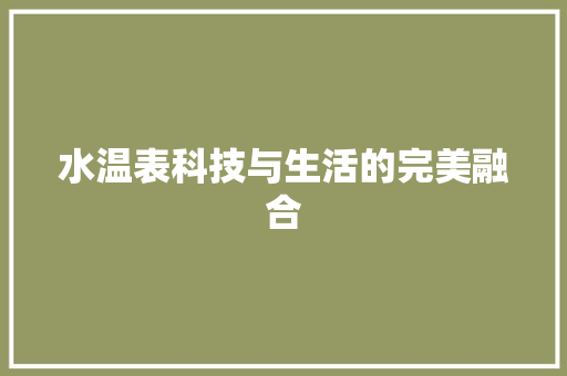 水温表科技与生活的完美融合