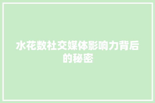 水花数社交媒体影响力背后的秘密