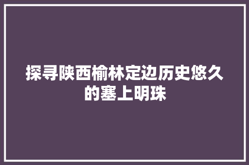 探寻陕西榆林定边历史悠久的塞上明珠