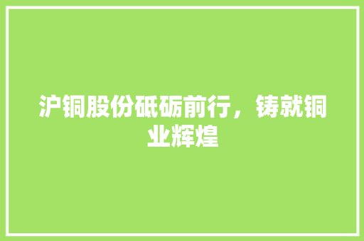 沪铜股份砥砺前行，铸就铜业辉煌