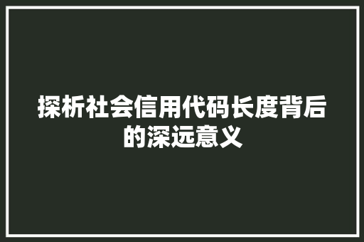 探析社会信用代码长度背后的深远意义