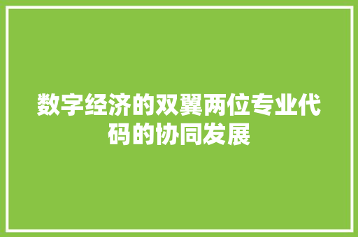 数字经济的双翼两位专业代码的协同发展
