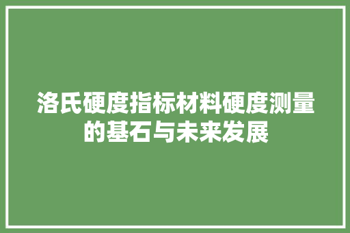 洛氏硬度指标材料硬度测量的基石与未来发展