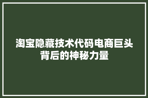 淘宝隐藏技术代码电商巨头背后的神秘力量