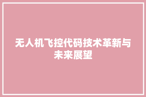 无人机飞控代码技术革新与未来展望
