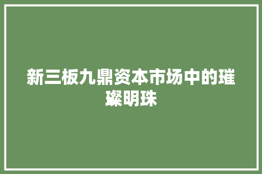 新三板九鼎资本市场中的璀璨明珠