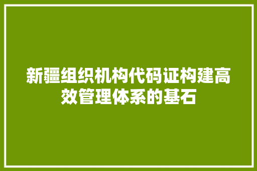 新疆组织机构代码证构建高效管理体系的基石