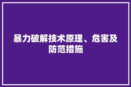暴力破解技术原理、危害及防范措施