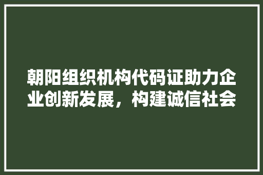朝阳组织机构代码证助力企业创新发展，构建诚信社会