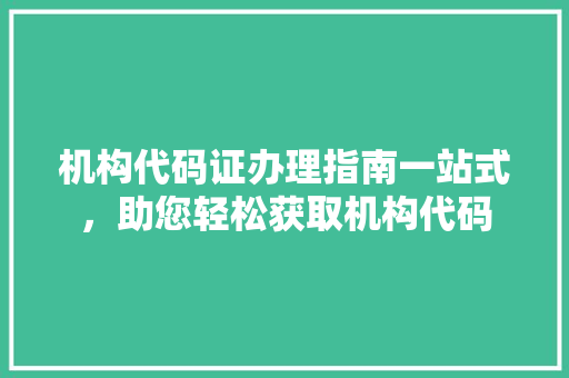 机构代码证办理指南一站式，助您轻松获取机构代码