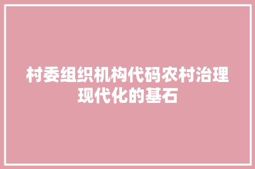 村委组织机构代码农村治理现代化的基石