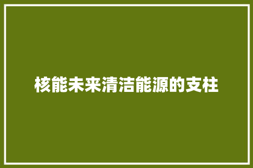 核能未来清洁能源的支柱
