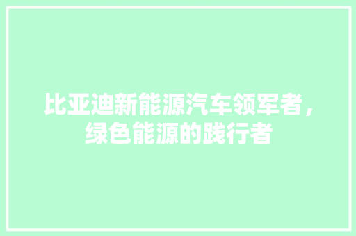 比亚迪新能源汽车领军者，绿色能源的践行者