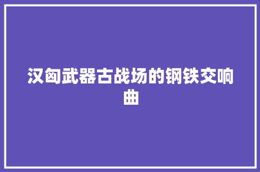 汉匈武器古战场的钢铁交响曲