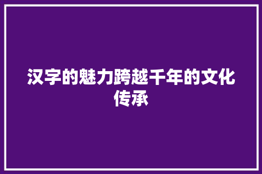 汉字的魅力跨越千年的文化传承