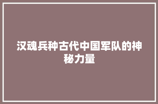 汉魂兵种古代中国军队的神秘力量