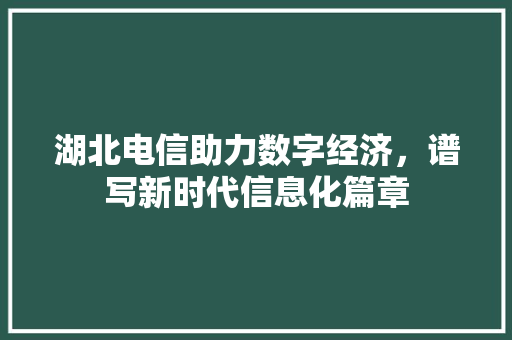 湖北电信助力数字经济，谱写新时代信息化篇章