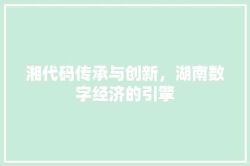湘代码传承与创新，湖南数字经济的引擎