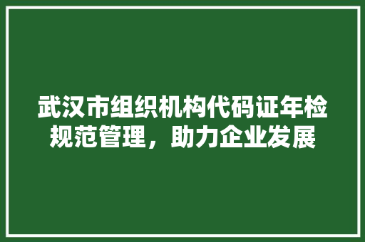 武汉市组织机构代码证年检规范管理，助力企业发展