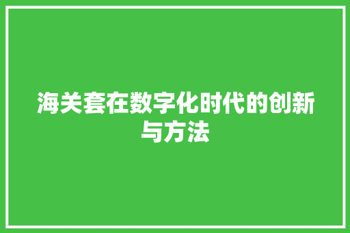 海关套在数字化时代的创新与方法