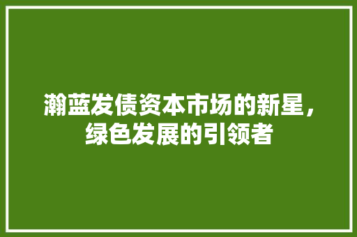 瀚蓝发债资本市场的新星，绿色发展的引领者