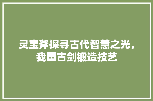 灵宝斧探寻古代智慧之光，我国古剑锻造技艺