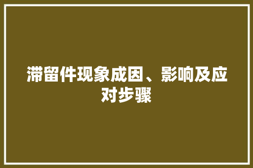 滞留件现象成因、影响及应对步骤