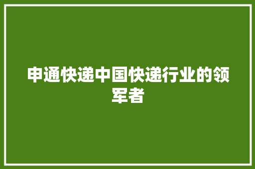 申通快递中国快递行业的领军者