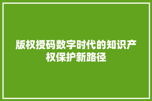 版权授码数字时代的知识产权保护新路径