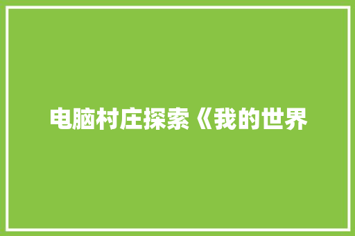 电脑村庄探索《我的世界